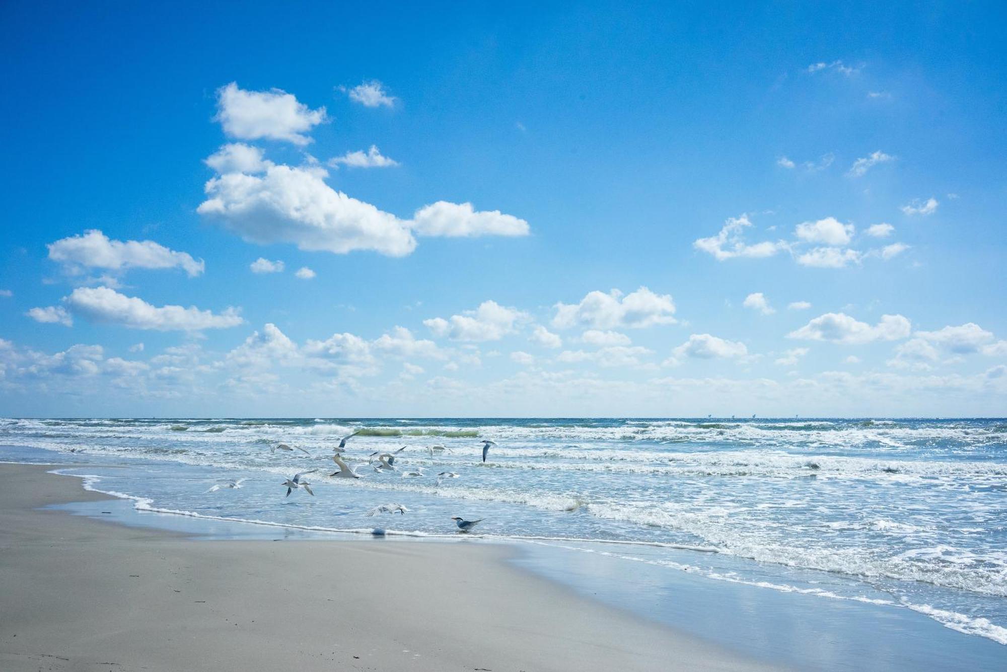 King'S Cove 5 Min To Beach, Bbq, King Bed Corpus Christi Exterior photo